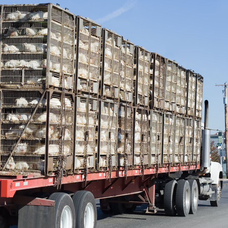 Supply chain issues hampering ag on the farm and on the road